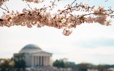 Saying Goodbye to Olivia Pope